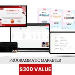 Programmatic Marketer Course - Learn campaign setup, optimization, and reporting.