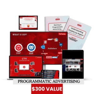 Programmatic Advertising Course Image